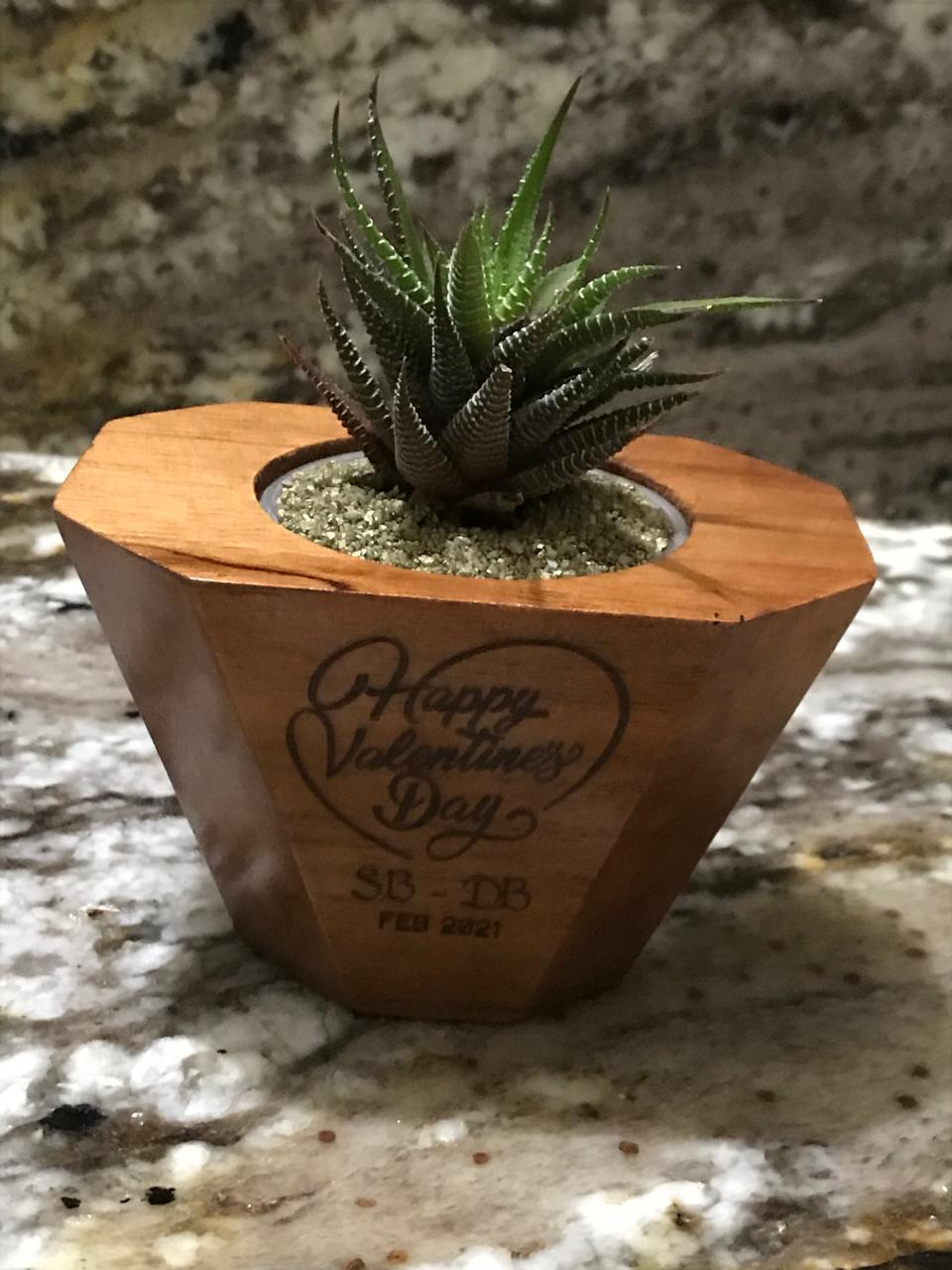 Octavia Single Planter