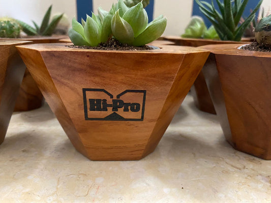 Octavia Single Planter